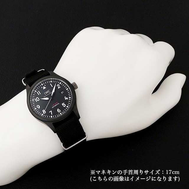 パイロットウォッチ オートマティック トップガン IW326901 サブ画像３