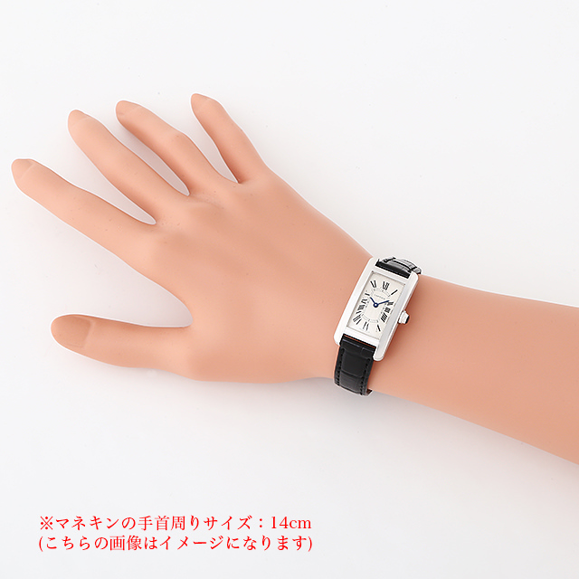 タンクアメリカン W2601956 サブ画像３