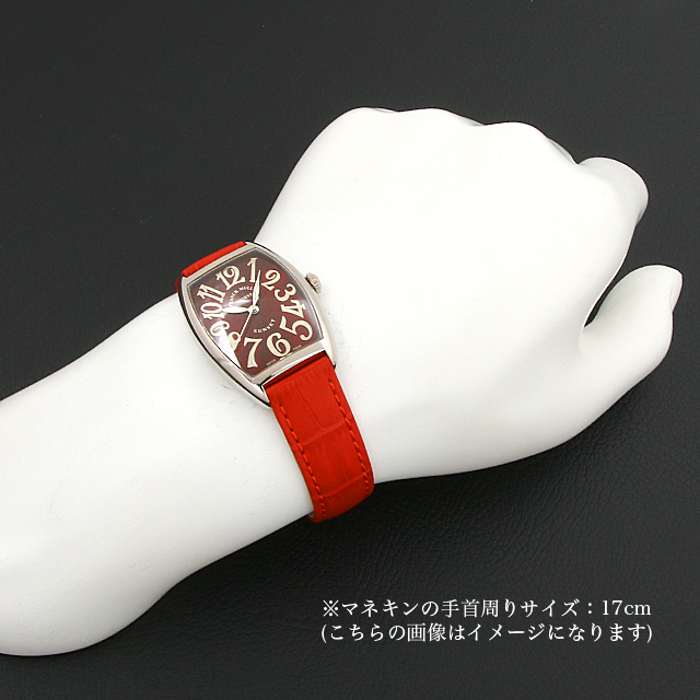 トノーカーベックス サンセット 2852SC SUNSET WG サブ画像３