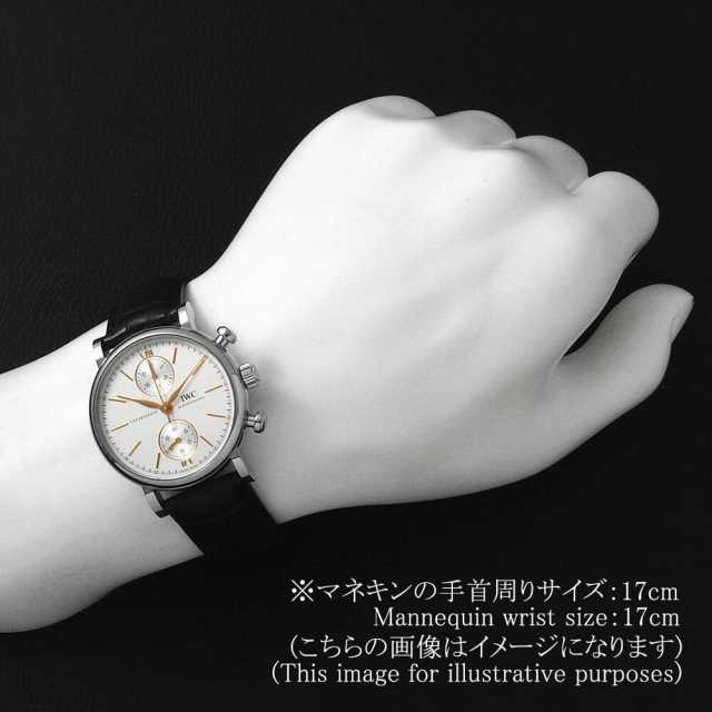 IWC Portofino IW391406 Men's Pre-owned