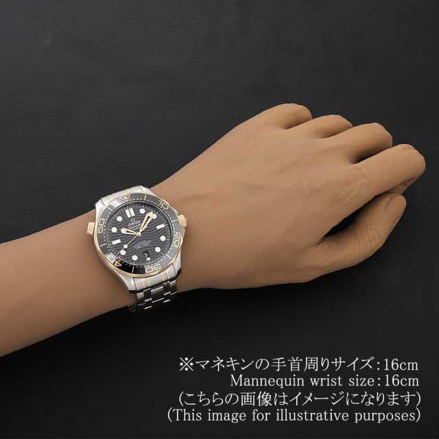 Omega Seamaster 210.20.42.20.01.002 Men's Used