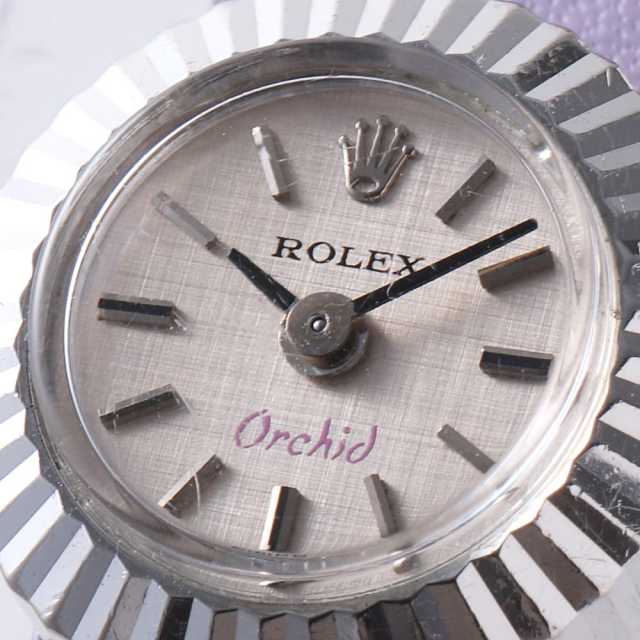 2059 シルバー ROLEX（ロレックス）カメレオン オーキッド