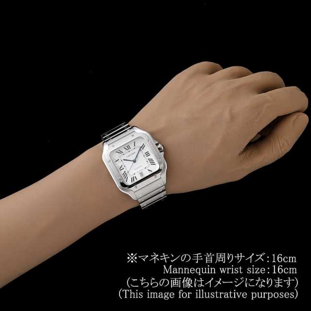 Cartier Santos WSSA0035 Men's Used