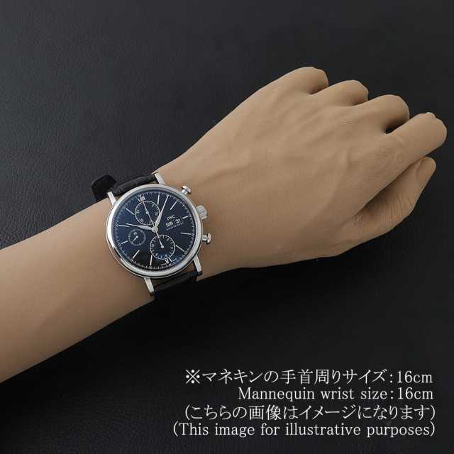国际捕鲸委员会柏涛菲诺IW391002男子二手商品