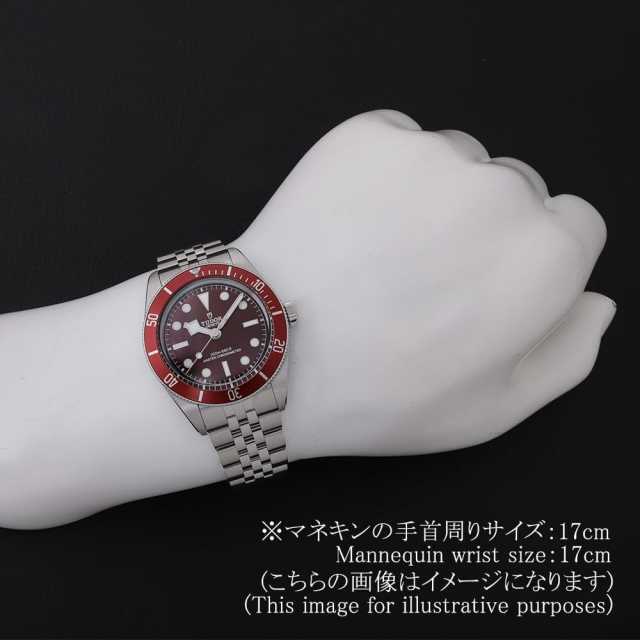 Tudor / チューダー　ブラックベイ58　79030N　極美品 79030N ブラック TUDOR（チューダー）ブラックベイ58 中古