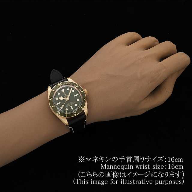 TUDOR Black Bay 79018V Men's Used