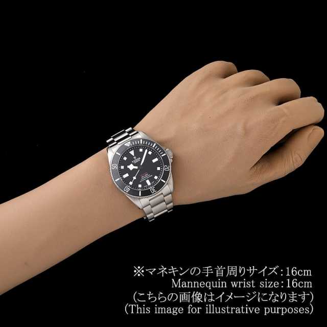 TUDOR Pelagos 25407N Men's Used