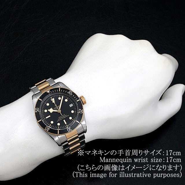 チューダー ブラックベイ 79733N メンズ 中古