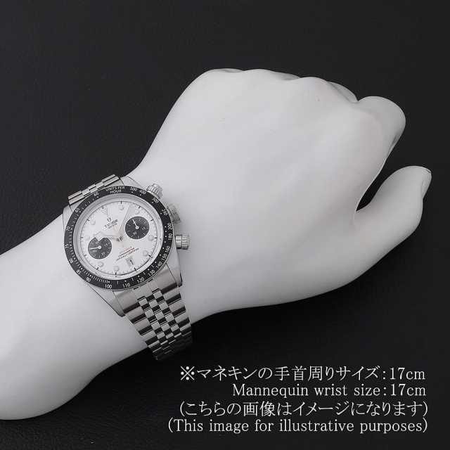 チューダー ブラックベイ 79360N-0014 メンズ 新品
