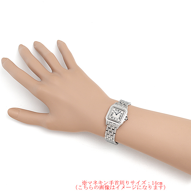 パンテール SM -- サブ画像３