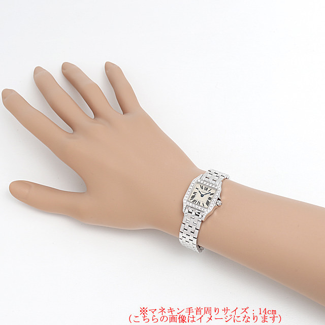 サントス ドゥ モワゼル SM WF9003Y8 サブ画像３