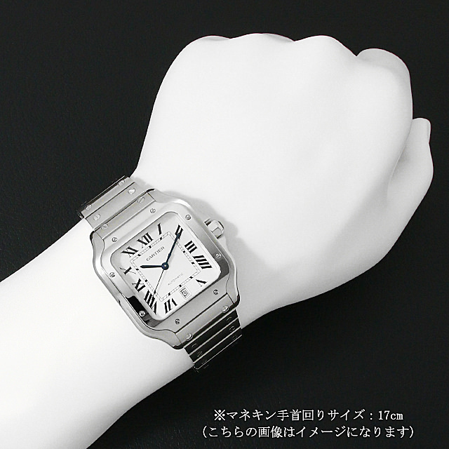 サントス ドゥ カルティエ LM WSSA0009 サブ画像３