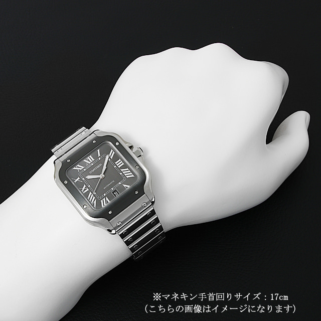 WSSA0037 グレー Cartier（カルティエ）サントス ドゥ カルティエ 中古  