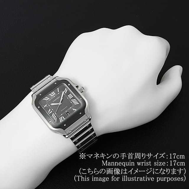 WSSA0037 グレー Cartier（カルティエ）サントス ドゥ カルティエ 中古  