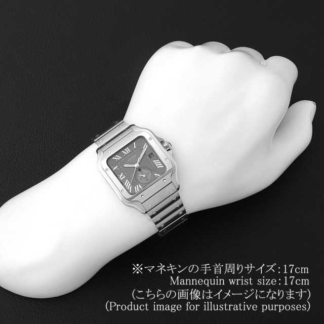 カルティエ　サントス100 WSSA0076 グレー Cartier（カルティエ）サントス ドゥ