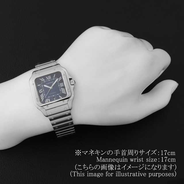 Cartier【カルティエ】サントス腕時計　男性 WSSA0030 ブルー Cartier（カルティエ）サントス ドゥ カルテイエ LM