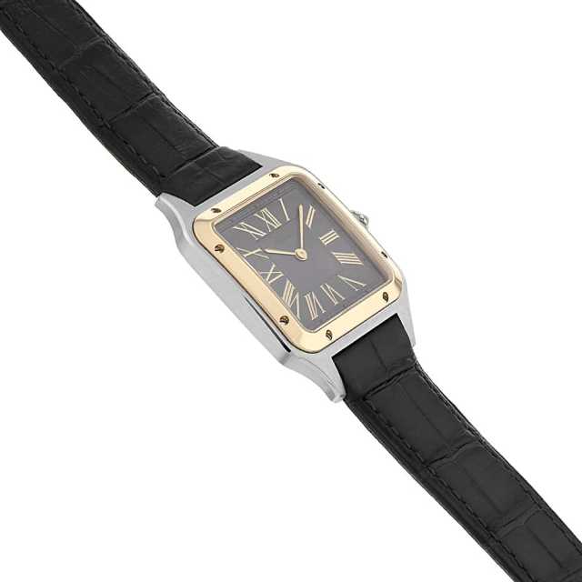 W2SA0028 グレー Cartier（カルティエ）サントスデュモン ラージモデル