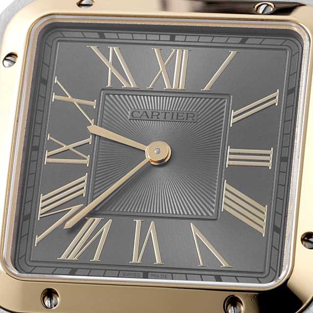 W2SA0028 グレー Cartier（カルティエ）サントスデュモン ラージモデル