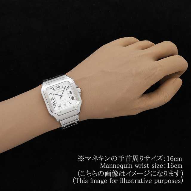 Cartier Santos WSSA0035 Men's Used