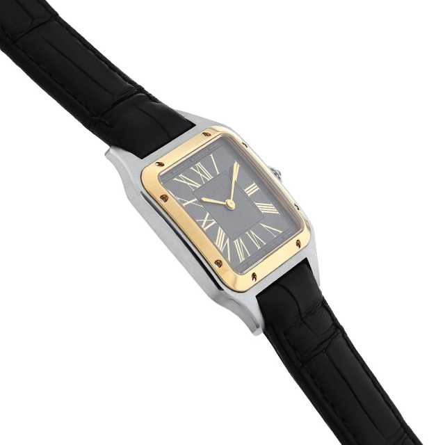 W2SA0028 グレー Cartier（カルティエ）サントスデュモン LM 中古