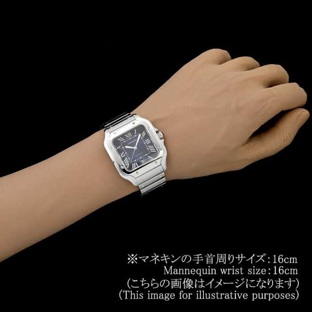 Cartier Santos WSSA0071 Men's Used