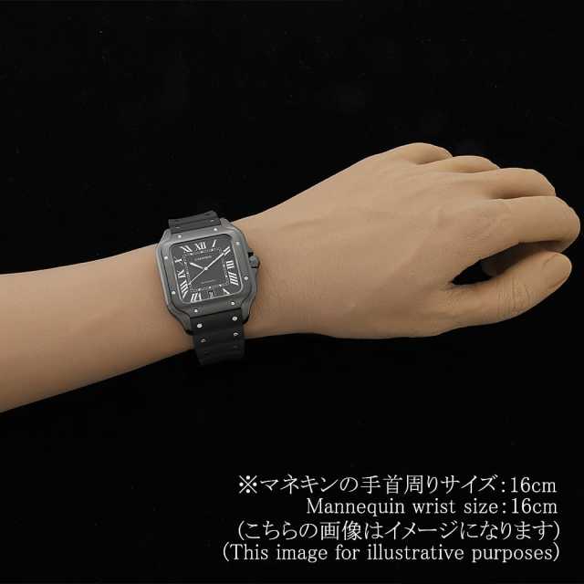 Cartier Santos WSSA0039 Men's Used