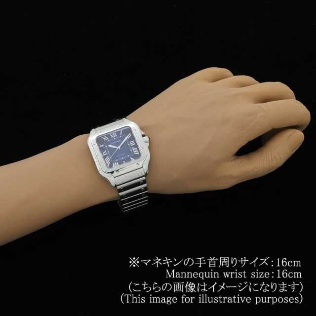 Cartier Santos WSSA0030 Men's Used