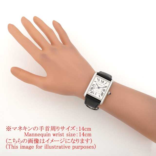 Cartier Tank (Other) WSTA0040 Men's Used