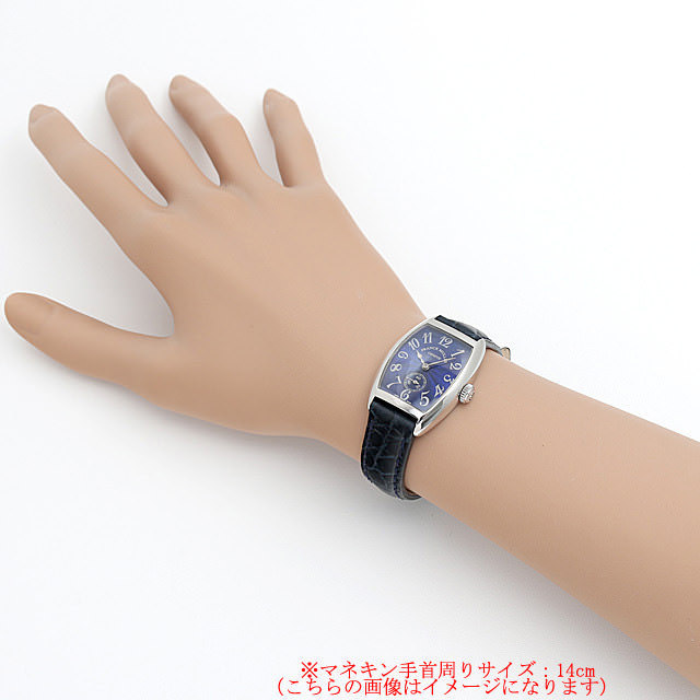 トノーカーベックス 1750S6 AC サブ画像３