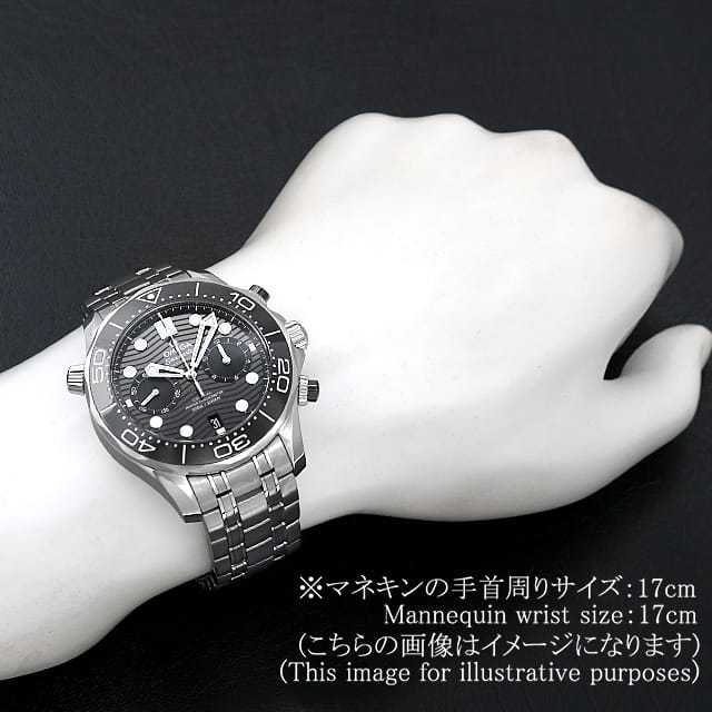 オメガ シーマスター 210.30.44.51.01.001 メンズ 中古