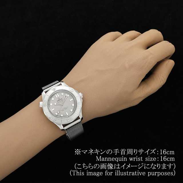 オメガ シーマスター 210.30.42.20.06.002 メンズ 中古