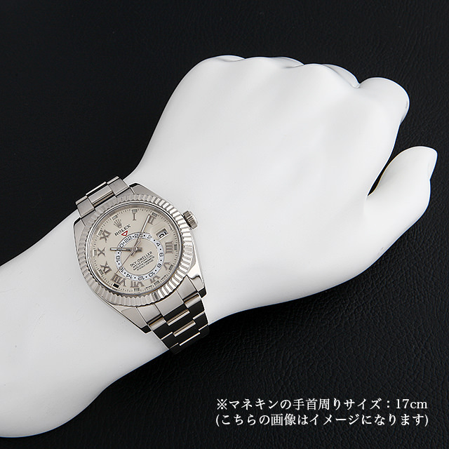 スカイドゥエラー 326939 サブ画像３
