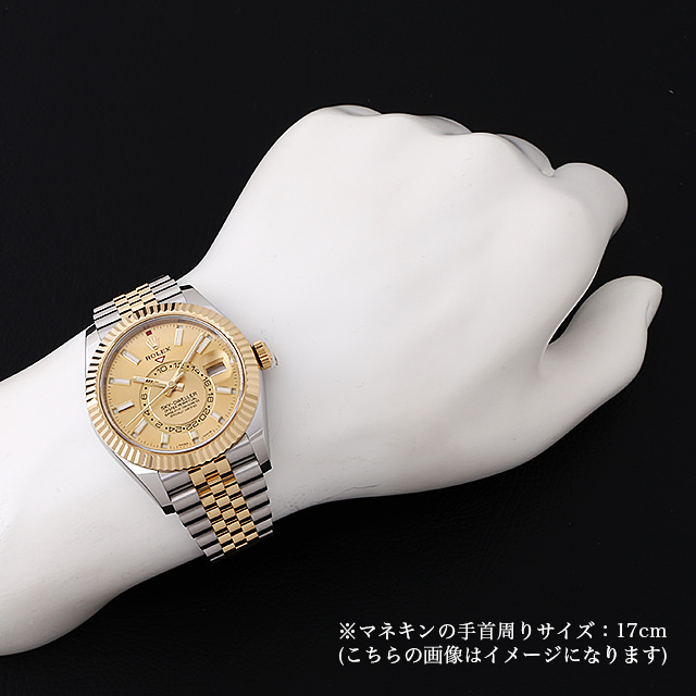 スカイドゥエラー 326933 サブ画像３