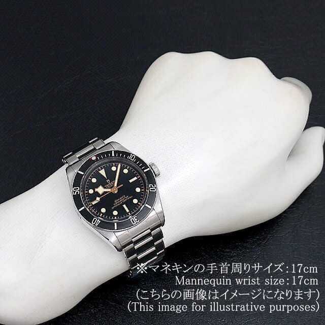 チューダー ブラックベイ 79230N メンズ 中古