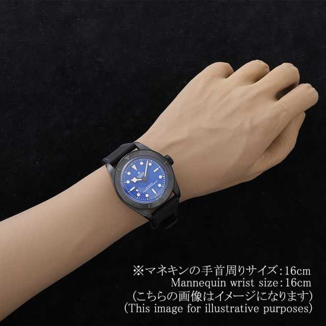 チューダー ブラックベイ 79210CNU メンズ 中古