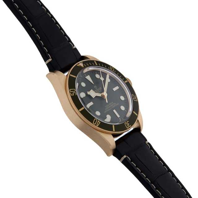 TUDOR Black Bay 79018V Men's Used