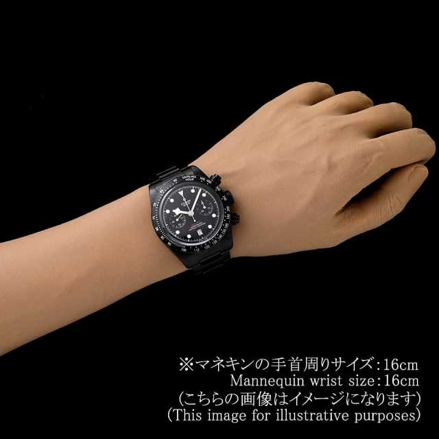 チューダー ブラックベイ 79360DK メンズ 中古