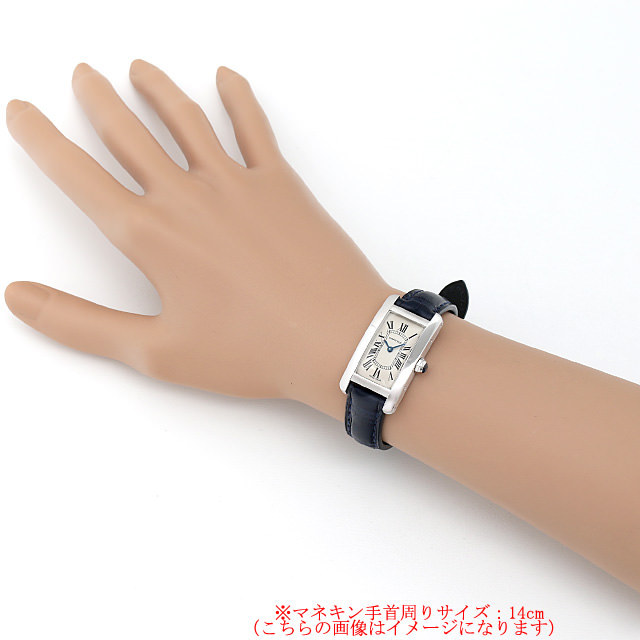 タンクアメリカン W2601956 サブ画像３