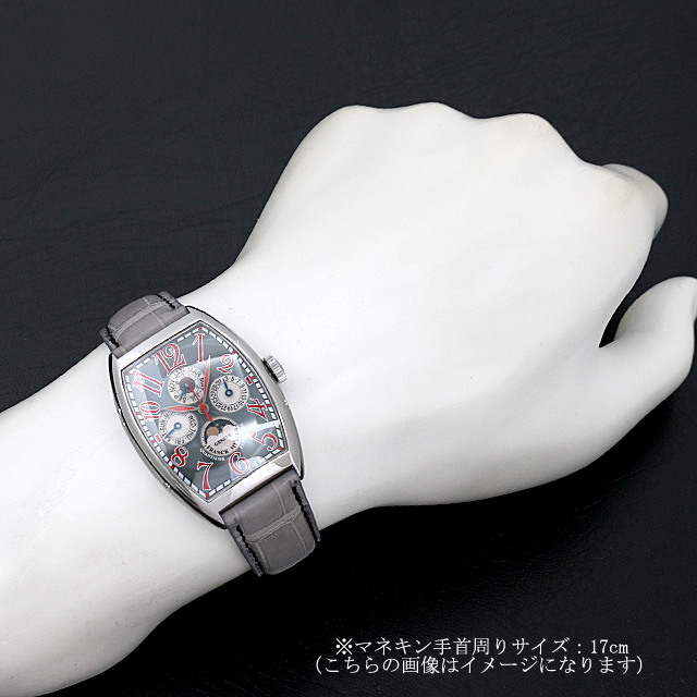 パーペチュアルカレンダー 6850QP AC サブ画像４