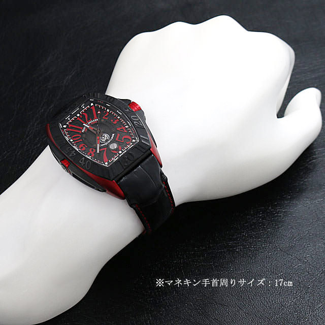 コンキスタドール グランプリ エルガ 日本限定モデル 8900SCJ ER サブ画像３