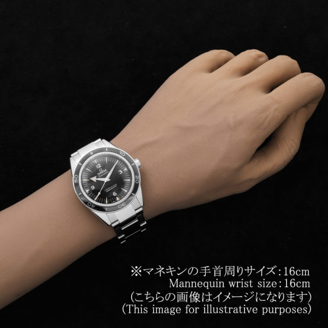 オメガ シーマスター 233.30.41.21.01.001 メンズ 中古