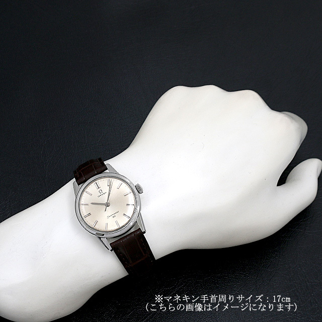 海馬系列30 135.006 子影像 3