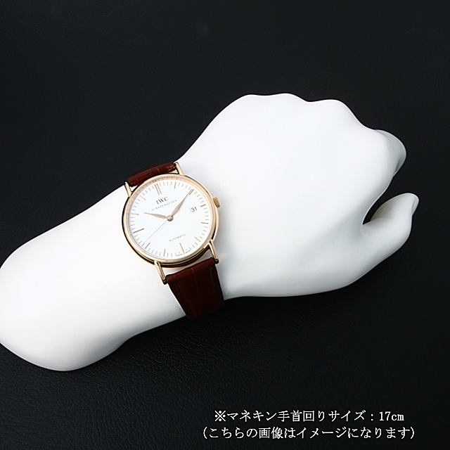 ポートフィノ オートマチック IW356302 サブ画像３