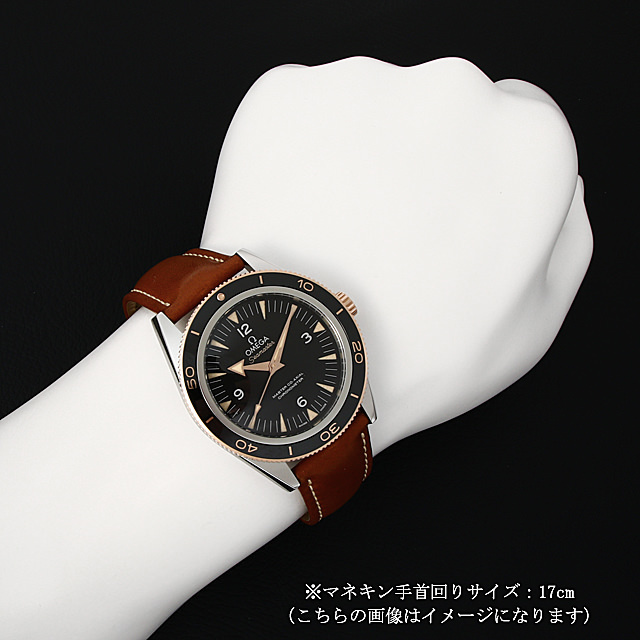 233.22.41.21.01.002 OMEGA（オメガ） シーマスター300 マスター  