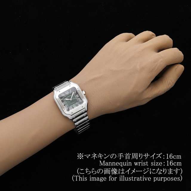 Cartier Santos WSSA0061 Men's New