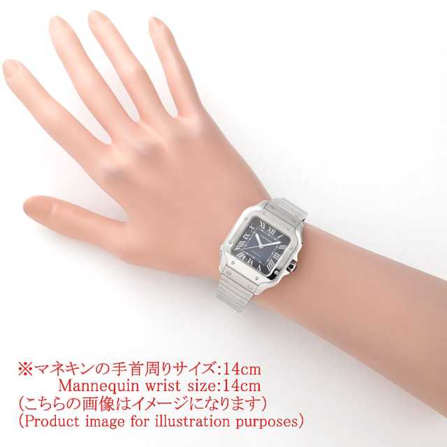 Cartier Santos WSSA0063 Men's New