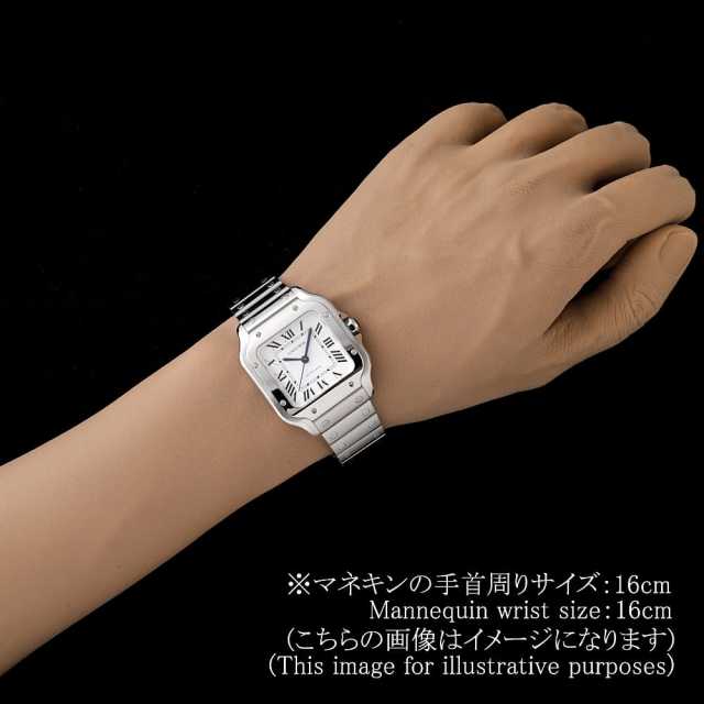 Cartier Santos WSSA0029 Men's New