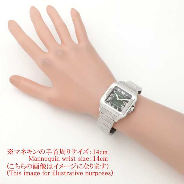 Cartier Santos WSSA0061 Men's New