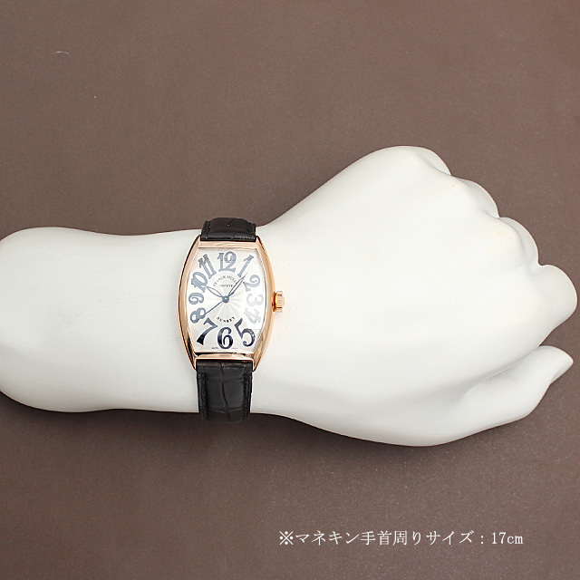 トノーカーベックス サンセット 5850SC SUNSET 5N サブ画像４