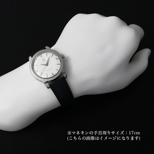 511.13.38.20.02.001 シルバー OMEGA（オメガ）シーマスター  